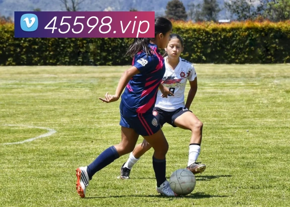 奖项证书
